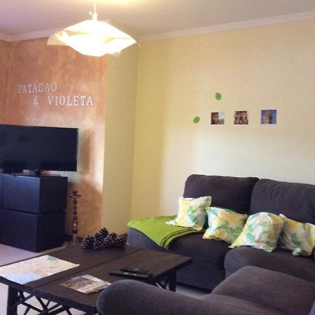 Apartament Patacao&Violeta Dystrykt Dystrykt Faro Zewnętrze zdjęcie
